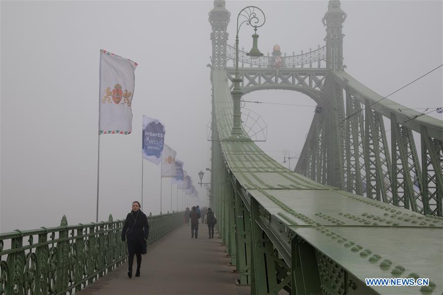 HUNGARY-BUDAPEST-FOG