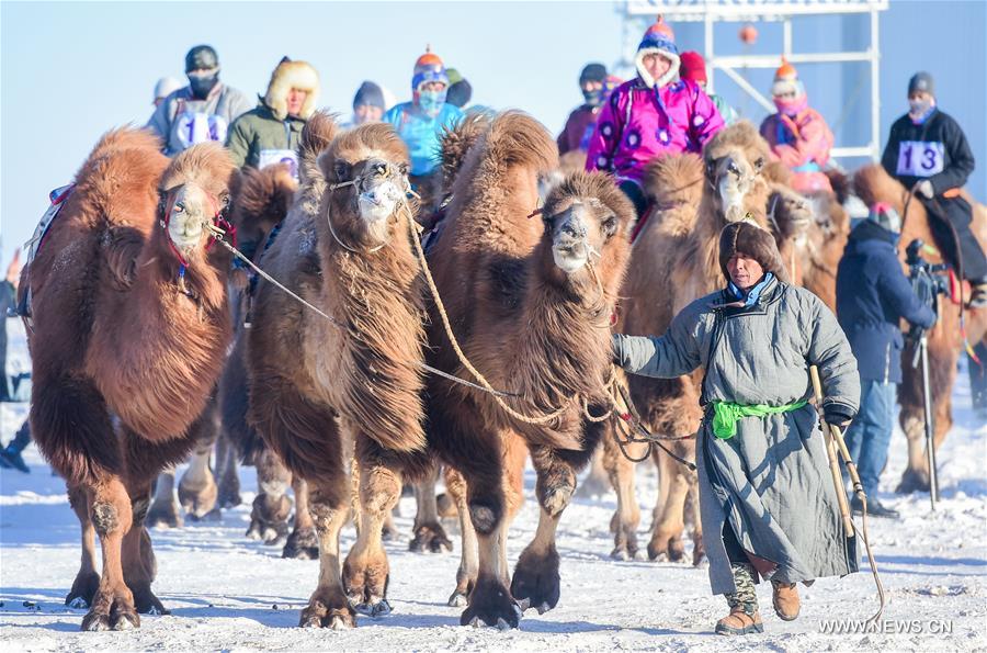 CHINA-INNER MONGOLIA-CAMEL FAIR (CN)