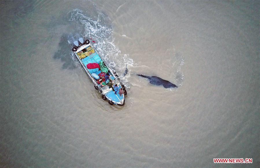 XINHUA-PICTURES OF THE YEAR 2017-CHINA 