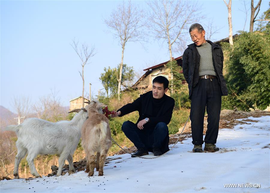 CHINA-SHAANXI-ANKANG-GOAT BREEDING (CN) 