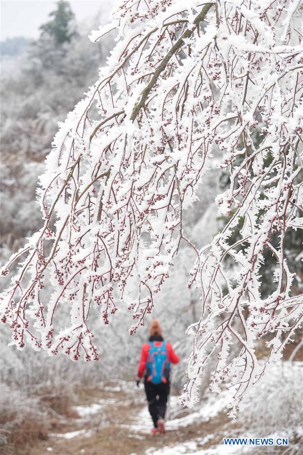 #CHINA-GUIYANG-FROST SCENERY (CN)