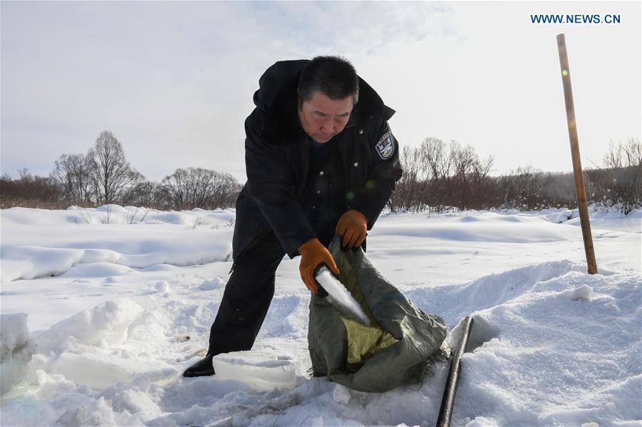 CHINA-INNER MONGOLIA-FOREST RANGER(CN)