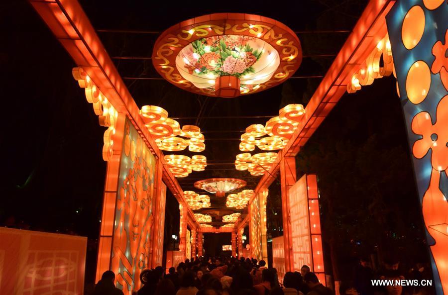 CHINA-JINAN-SPRING FESTIVAL-LANTERN SHOW(CN)