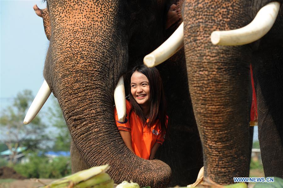 THAILAND-AYUTTHAYA-ELEPHANT DAY