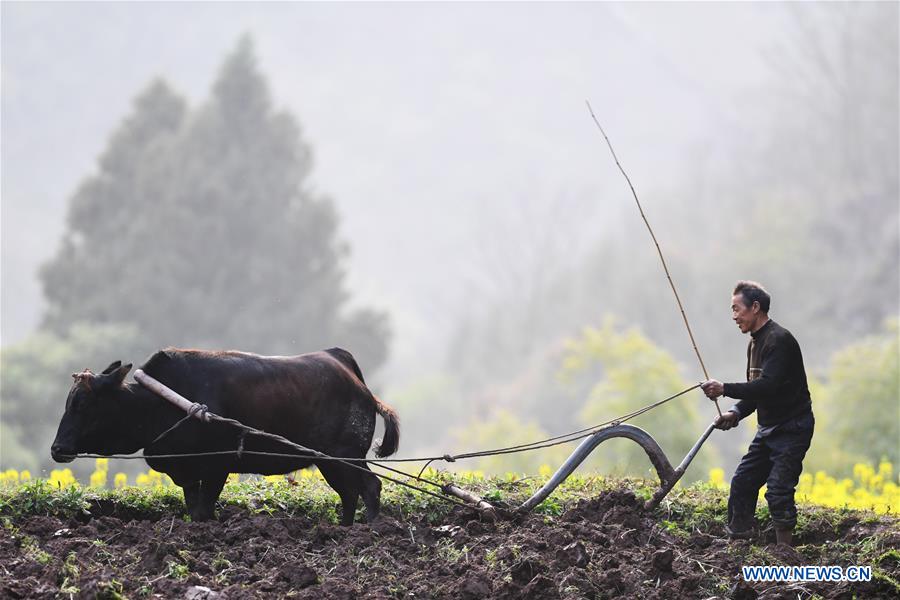 CHINA-SPRING-FARM WORK (CN)