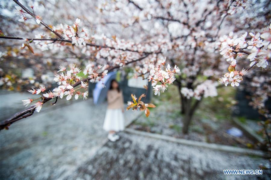 #CHINA-SPRING VIEWS (CN)