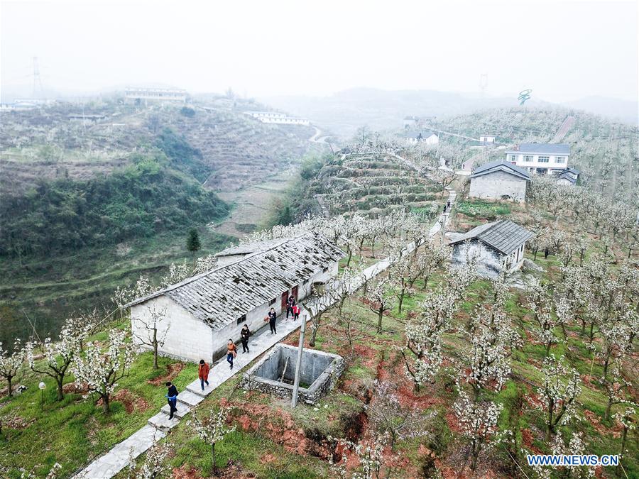 CHINA-GUIZHOU-SPRING SCENERY (CN)