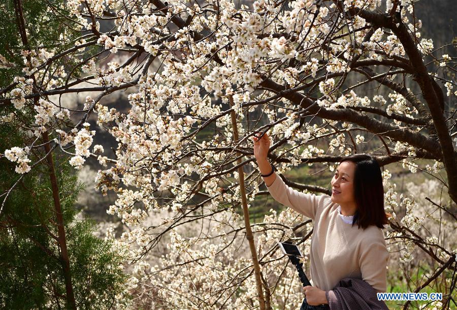 CHINA-SPRING SCENERY-FLOWERS (CN)