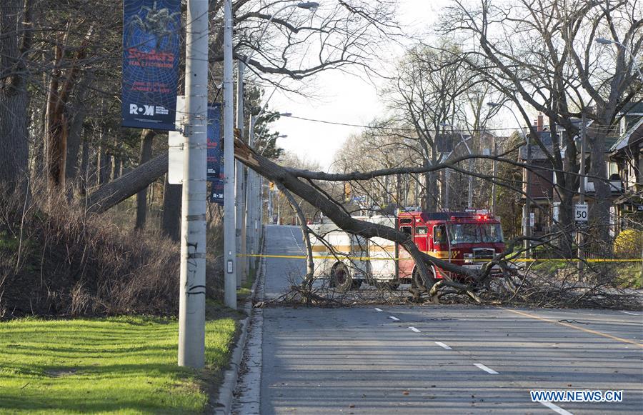 CANADA-TORONTO-WEATHER-HIGH WIND