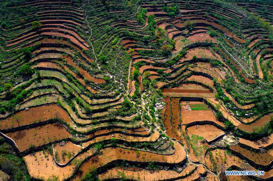 CHINA-HEBEI-TERRACED FIELDS (CN)