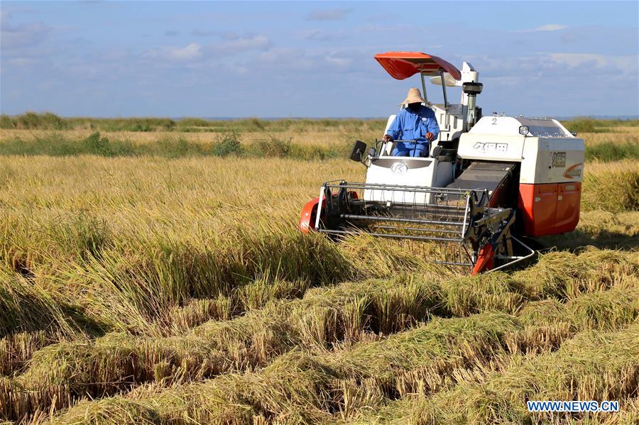 MOZAMBIQUE-GAZA-CHINA-AGRICULTURAL PROJECT