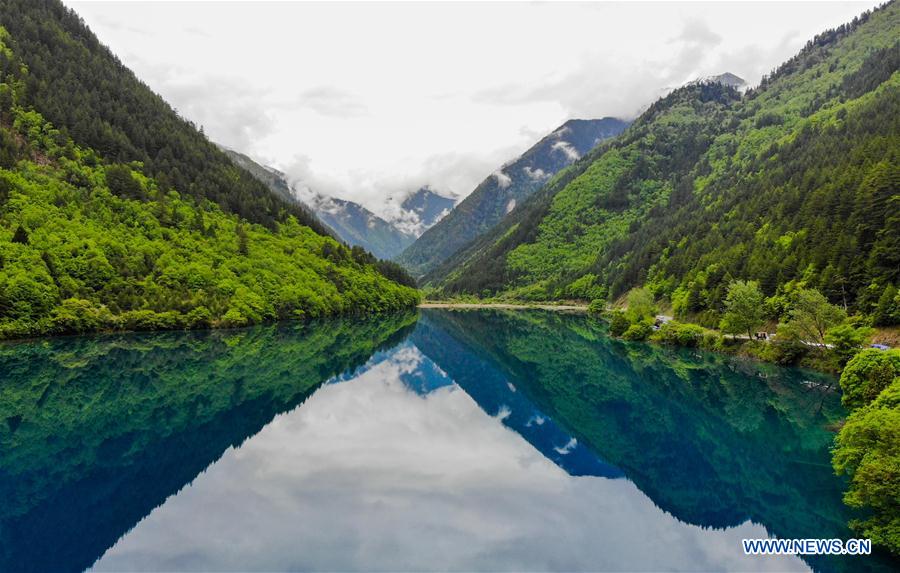 CHINA-SICHUAN-JIUZHAIGOU-SCENERY-EARLY SUMMER (CN)