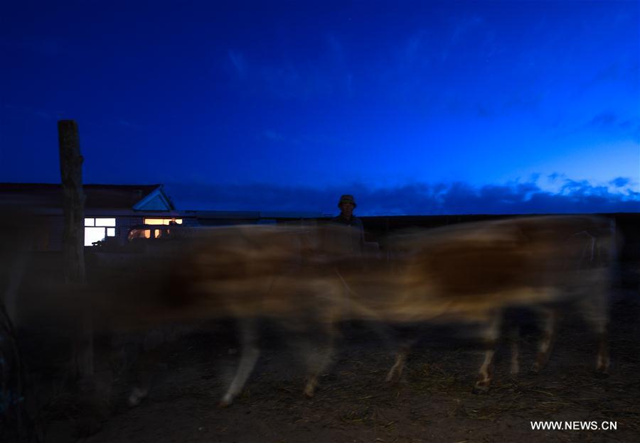 CHINA-INNER MONGOLIA-LIVESTOCK TRANSFER-SUMMER PASTURE (CN)