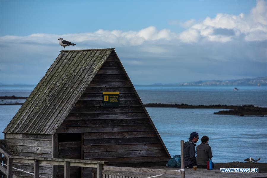 NEW ZEALAND-AUCKLAND-RANGITOTO ISLAND-VOLCANIC ISLAND