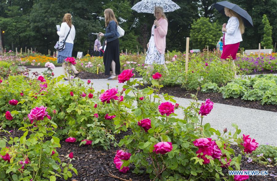 CANADA-BURLINGTON-ROYAL BOTANICAL GARDENS-ROSE GARDEN