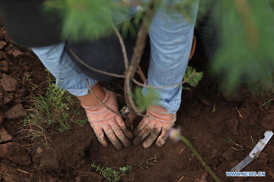 #CHINA-HEBEI-FENGNING-AFFORESTATION (CN)