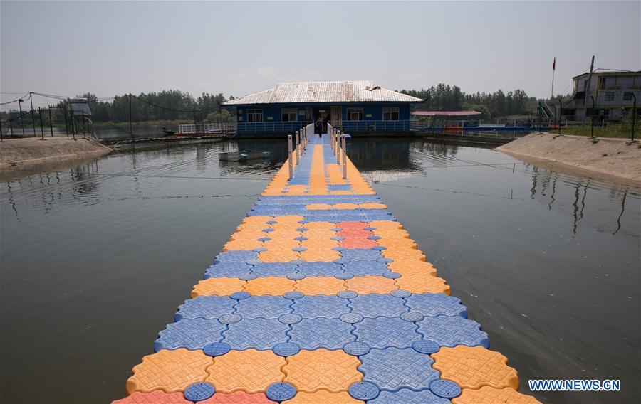 CHINA-ANHUI-FINLESS PORPOISE (CN)