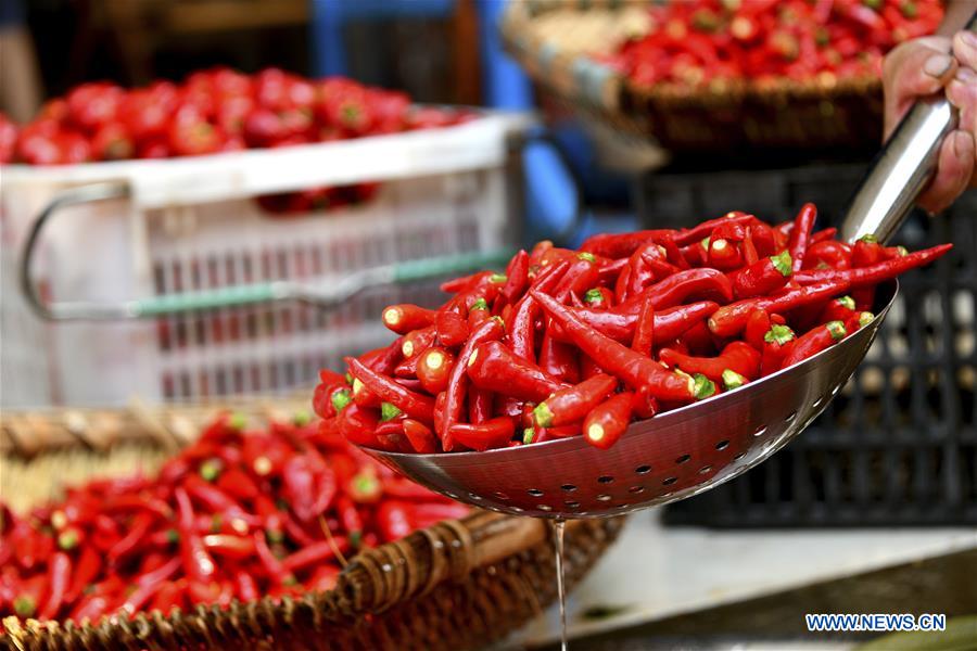 #CHINA-GUIZHOU-ZUNYI-PEPPER INDUSTRY (CN)