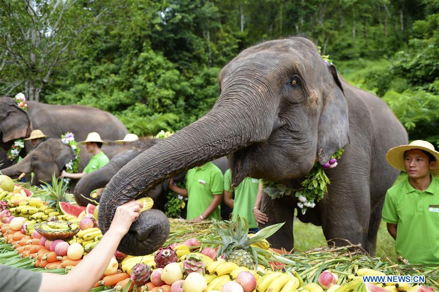 CHINA-YUNNAN-XISHUANGBANNA-WORLD ELEPHANT DAY (CN)