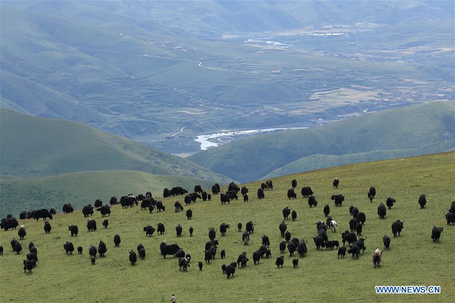 CHINA-SICHUAN-ZEQU RIVER-SCENERY (CN)