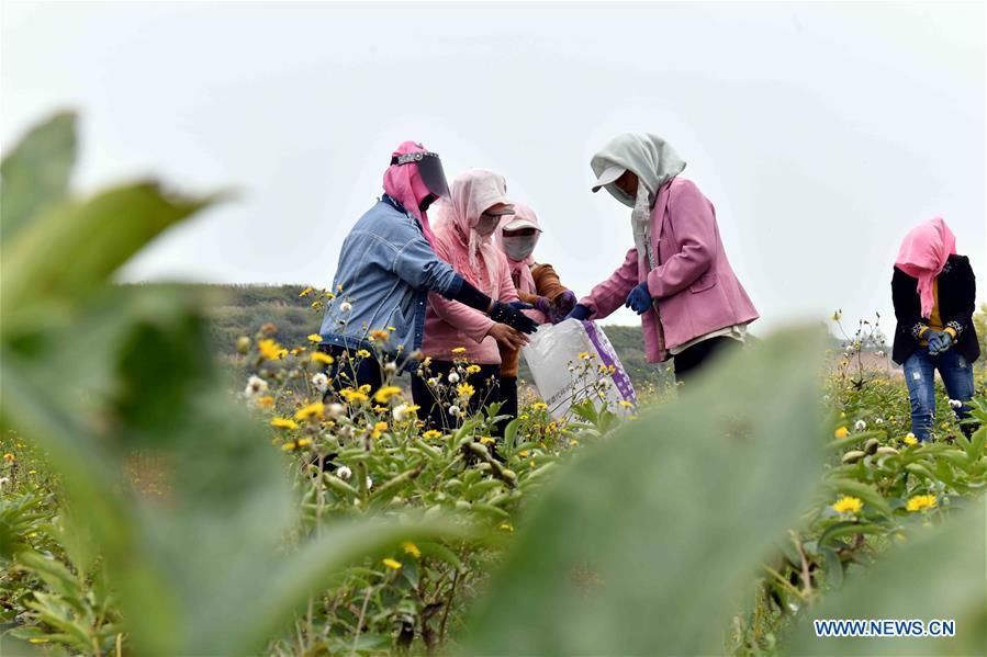 CHINA-NINGXIA-GUYUAN-POVERTY RELIEF (CN)