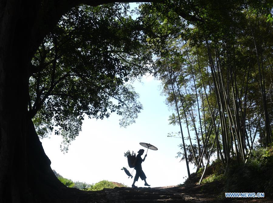 XINHUA PHOTO WEEKLY CHOICES