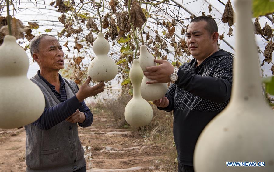 CHINA-SHANXI-QINYUAN-POVERTY ALLEVIATION (CN)