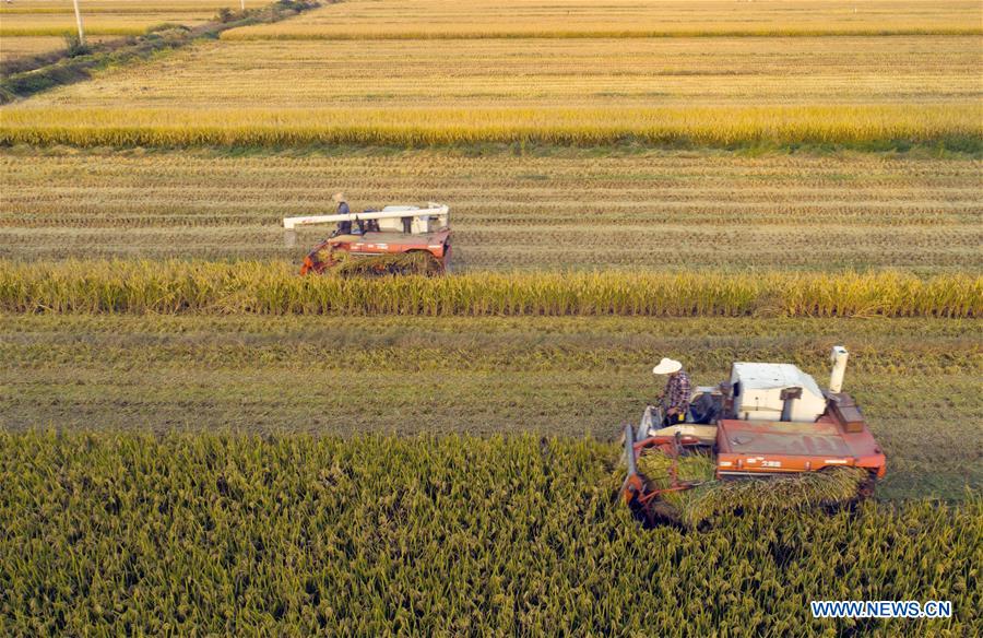 #CHINA-AUTUMN-HARVEST(CN)