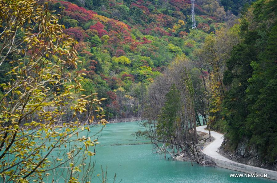 CHINA-TIBET-AUTUMN-SCENERY (CN)