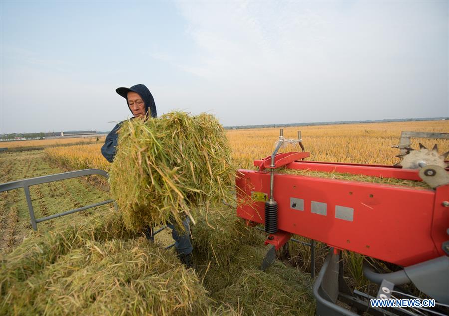 CHINA-ZHEJIANG-HUZHOU-RECYCLING AGRICULTURE (CN)