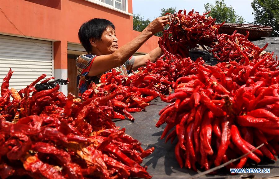 CHINA-HENAN-RURAL REVITALIZATION (CN)