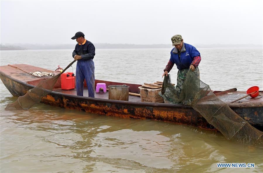 CHINA-JIANGXI-NANCHANG-FISHERY-CRAB (CN)