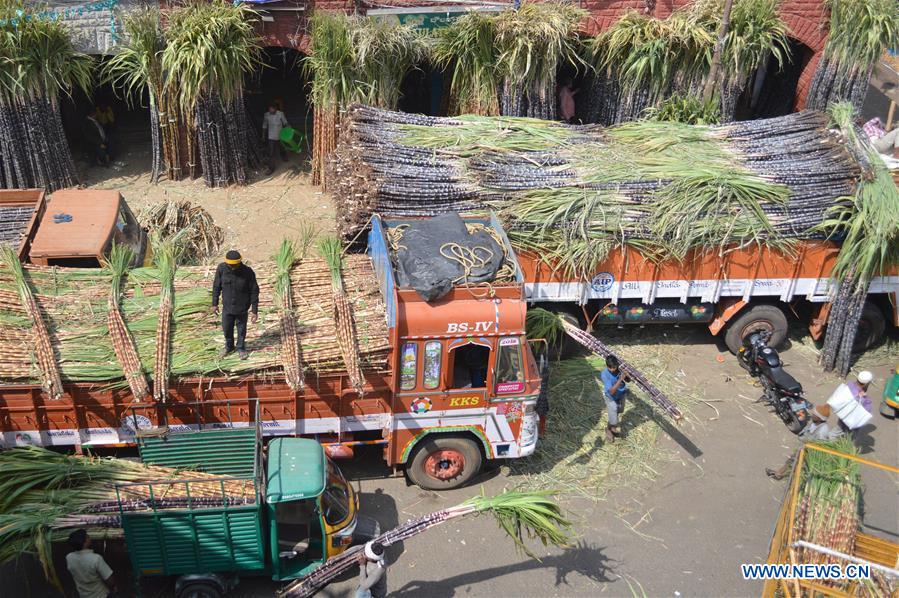 INDIA-BANGALORE-MAKAR SANKRANTI FESTIVAL-PREPARATION