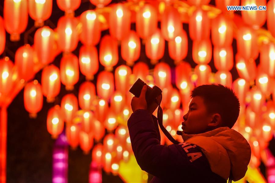 CHINA-ANHUI-HEFEI-SPRING FESTIVAL-LANTERNS (CN)