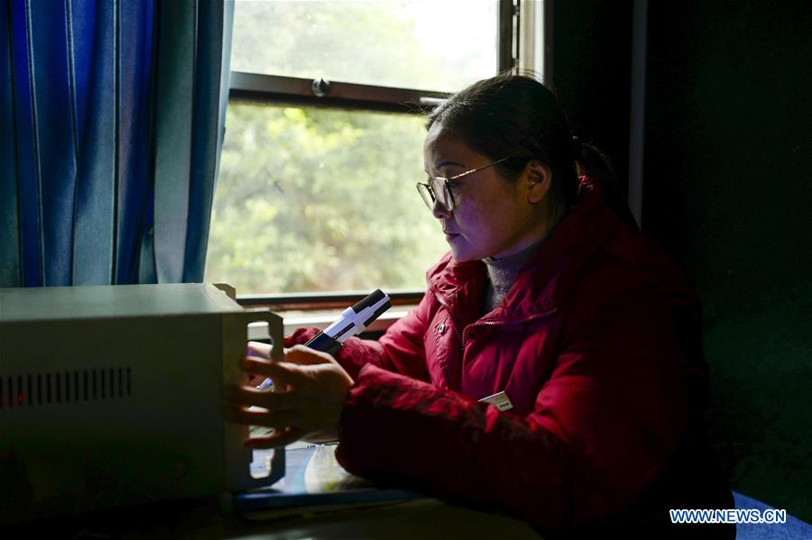 CHINA-SPRING FESTIVAL-TRAVEL RUSH-GREEN TRAIN (CN)