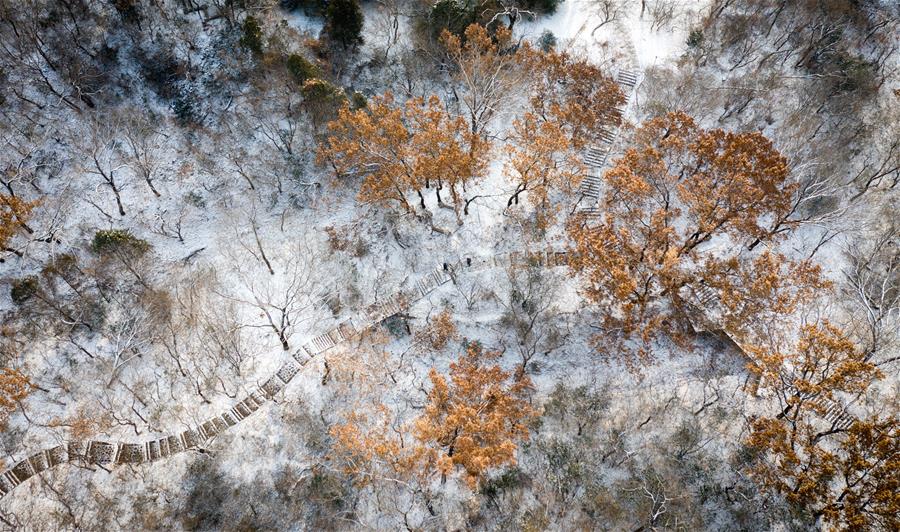 #CHINA-SNOW-TOURISM (CN)