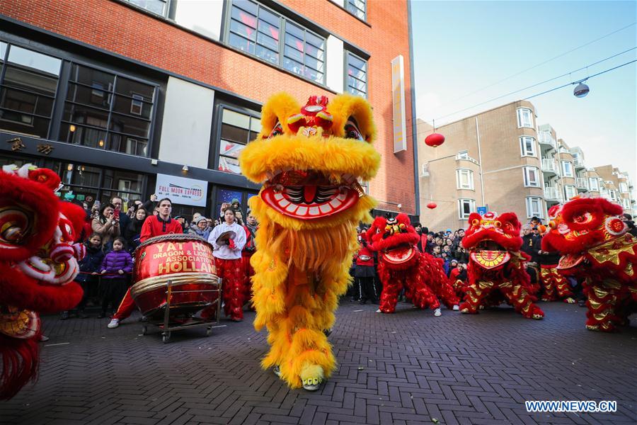 THE NETHERLANDS-THE HAGUE-CHINA-LUNAR NEW YEAR-CELEBRATION