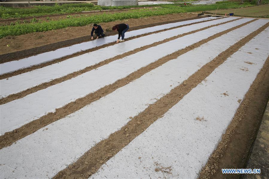 #CHINA-EARLY SPRING-FARMWORK (CN)