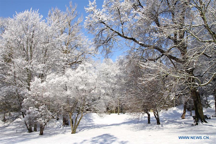 ESTONIA-TALLINN-SNOW AND FROST