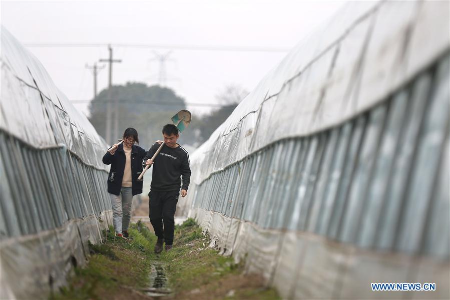 CHINA-JIANGSU-HIGHLY EDUCATED COUPLE-FARMING BUSINESS (CN)