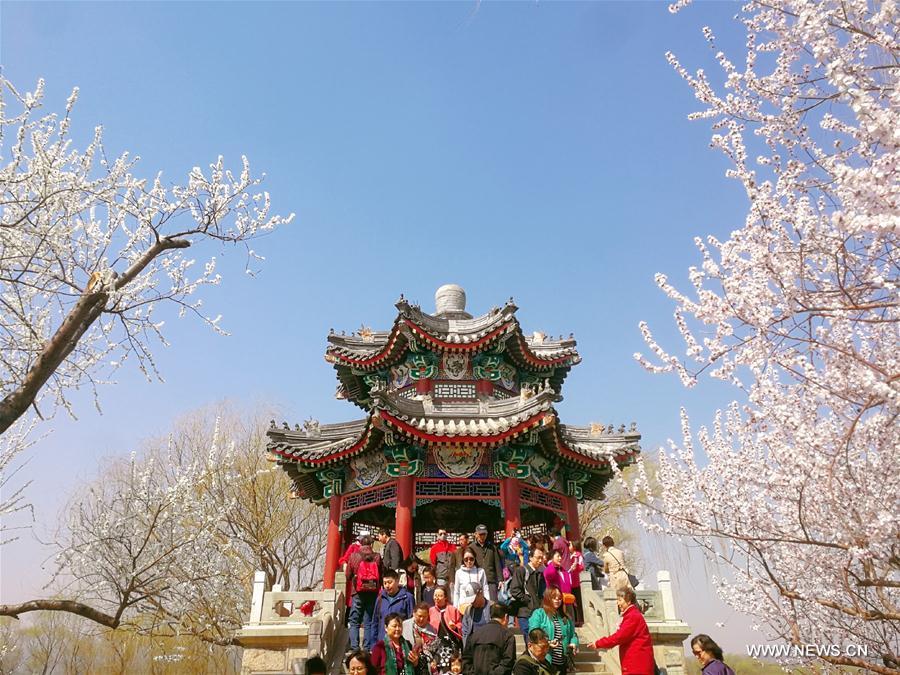 (BeijingCandid) CHINA-BEIJING-SPRING (CN)