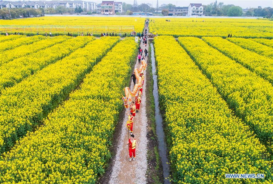 ZHEJIANG-HUZHOU-COLE FLOWER-TOURISM FESTIVAL (CN)