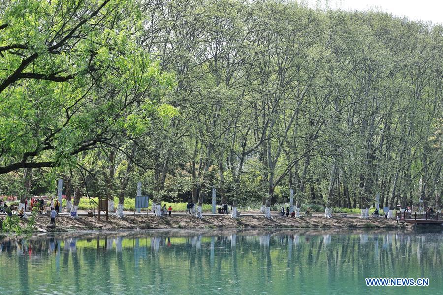 CHINA-GUIYANG-SPRING-WETLAND PARK (CN)