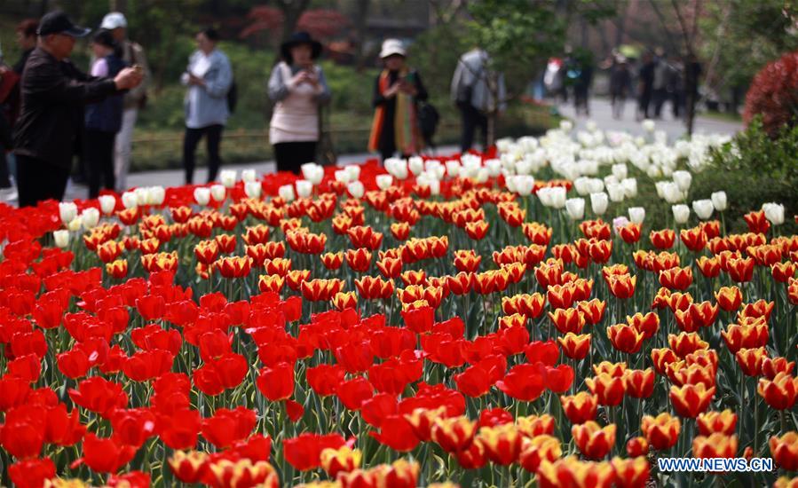 #CHINA-YANGZHOU-FLOWER EXHIBITION(CN)