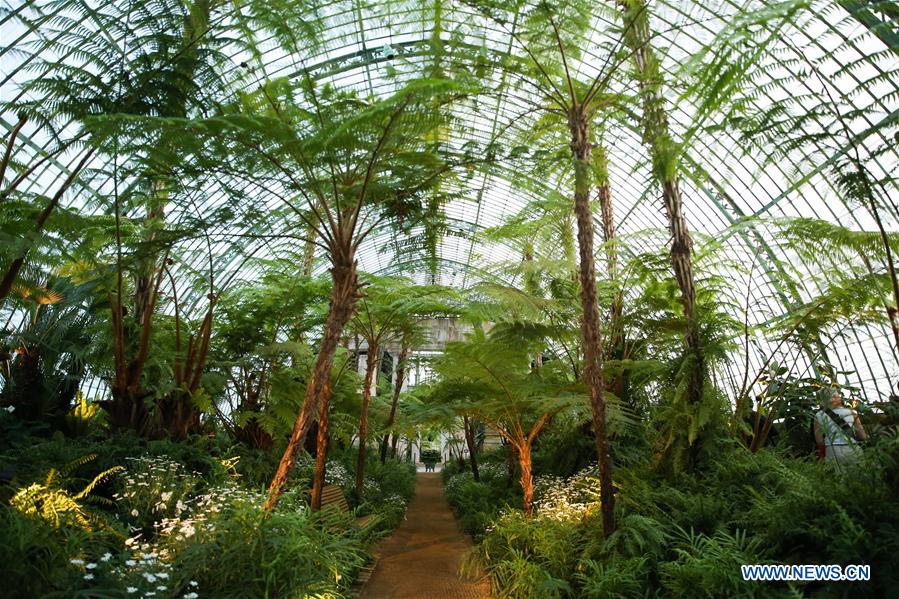 BELGIUM-BRUSSELS-ROYAL GREENHOUSES