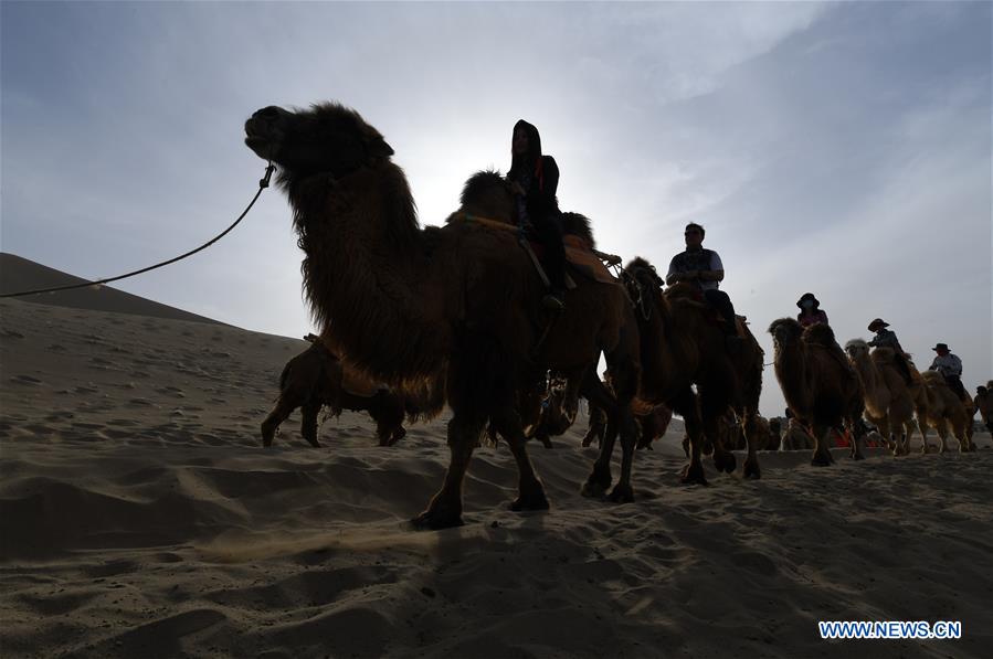 CHINA-GANSU-DUNHUANG-CAMEL-RIDE (CN)