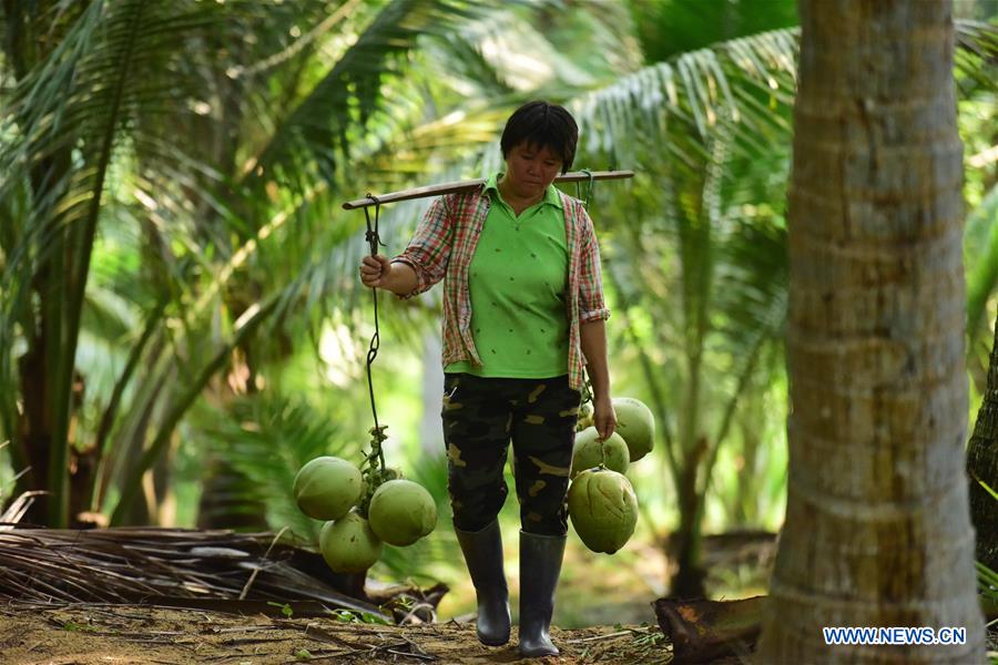 #CHINA-ECONOMY-FARMING (CN)