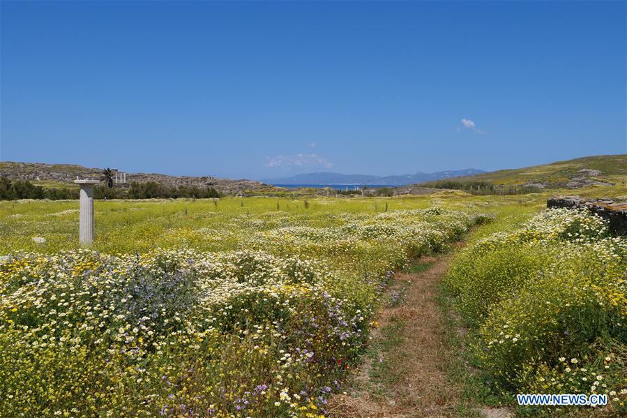 GREECE-CULTURE-ARCHAEOLOGY-DELOS