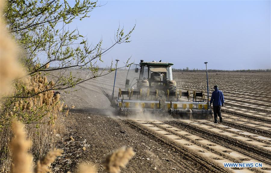 CHINA-AGRICULTURE-RURAL DEVELOPMENT (CN)