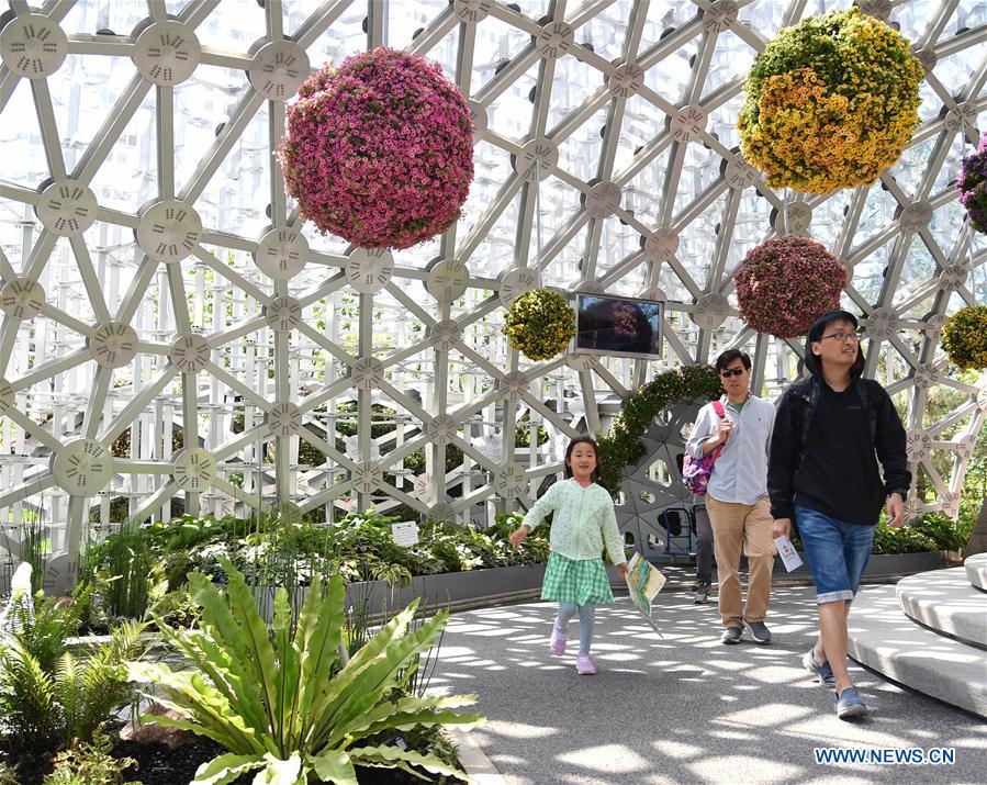 CHINA-BEIJING-HORTICULTURAL EXPO-SHANGHAI DAY(CN)